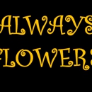 Always Flowers - Flowers, Plants & Trees-Silk, Dried, Etc.-Retail