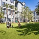 The Bartram Apartments - Apartments