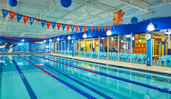 Goldfish Swim School - Bellevue - Bellevue, WA