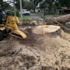 Professional Stump Grinding gallery