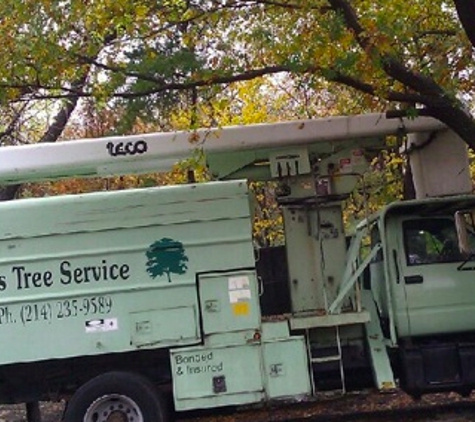 Tony's Tree Service - Desoto, TX