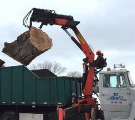 Mark's Tree Care - Rockford, IL