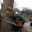 The Tree Professional LLC - Stump Removal & Grinding