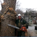 The Tree Professional LLC - Tree Service