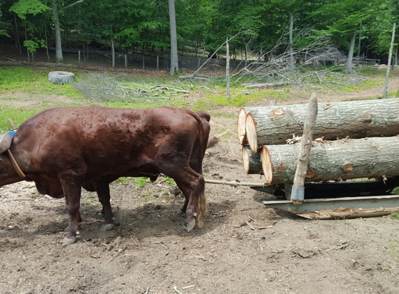 TownlineFarms - Old Saybrook, CT