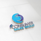 Consumer Sales Group, LLC