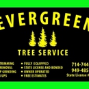 Evergreen Tree service - Tree Service