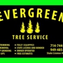 Evergreen Tree service