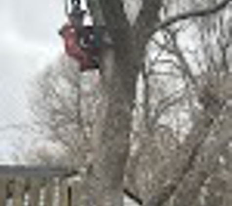 Treehugger Completetree Service - Des Moines, IA