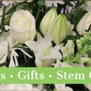 Stem Gallery - Art Galleries, Dealers & Consultants