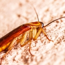 Security Pest Control Inc - Pest Control Equipment & Supplies