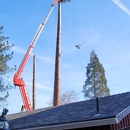 J & J Tree Service, LLC - Stump Removal & Grinding