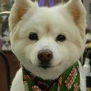 Howl'in Grooming & Training - Pet Grooming