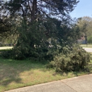 Rameys landscaping and tree service - Tree Service