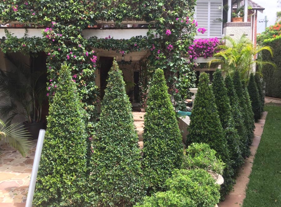 Steven Clark's Garden Maintenance - Carbrook, QLD