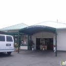 Encinitas Flower Shop - Flowers, Plants & Trees-Silk, Dried, Etc.-Retail