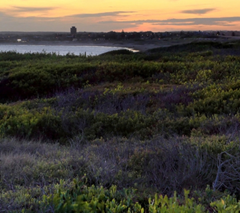 David Petty Conveyancing - Caringbah, NSW