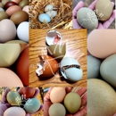McIntire's Mini Mansion - Poultry Hatcheries
