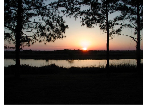 Trinity Bay RV Park and Lodging Resort - Anahuac, TX