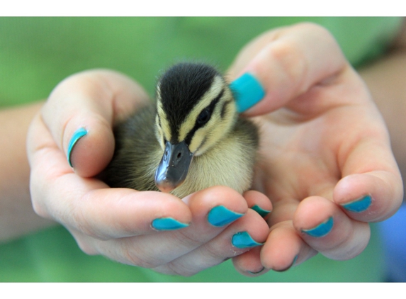 Taree Veterinary Hospital - Taree, NSW