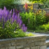 Tri-State Nurseries & Landscaping gallery