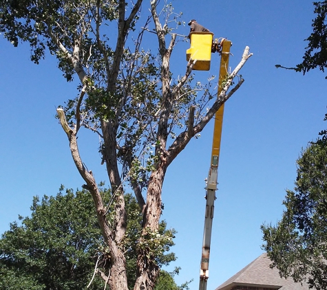 Quality Tree Care - Lubbock, TX
