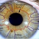 Long Island Center for Iridology