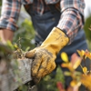 Woody Tree Service, Inc. gallery