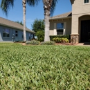 Indoor Pest Control, Land O Lakes | Trinity, Your Green Team