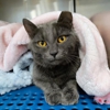 Petsense by Tractor Supply gallery