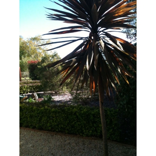 Robert's Home & Garden Maintenance - Wyreema, QLD