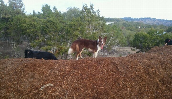 A to Z Dog Ranch - Spicewood, TX