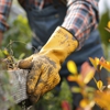 JMA Tree Service gallery