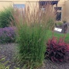 Jennifer's Landscape Designs gallery