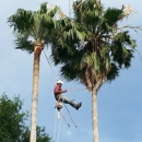 Texans Tree Service - Landscaping & Lawn Services