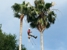 Texans Tree Service - Landscaping & Lawn Services