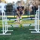 Mo's Dog Training - Dog Training