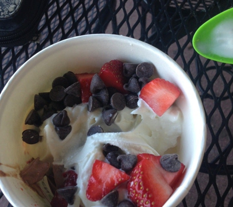 Bliss Kiwi Frozen Yogurt - Winter Springs, FL