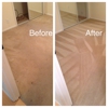Pacific Steam Carpet Cleaning of Portland Oregon gallery