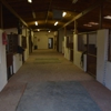 Country Estate Equestrian Center gallery