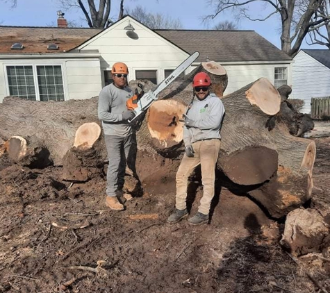 Family Tree Service - Kansas City, MO