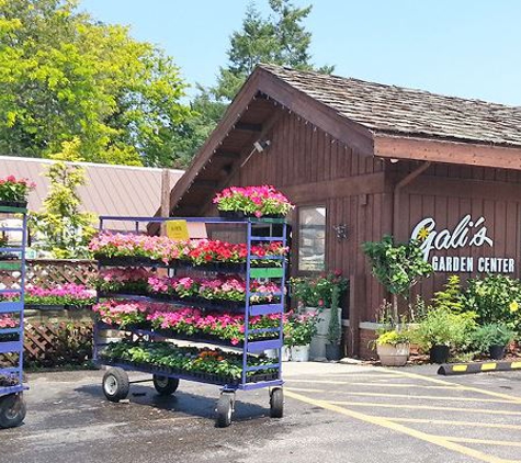 Gali's Garden Center - Beachwood, OH