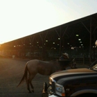 Mesa County Fairgrounds