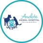 Anclote Animal Hospital