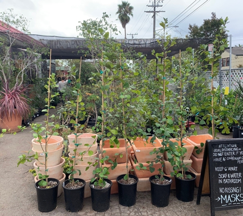 The Dry Garden - Oakland, CA