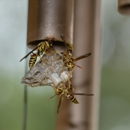 The Bug Man Inc - Pest Control Equipment & Supplies