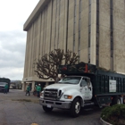 Gutierrez and Son's Tree Service and Landscaping