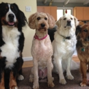 Littlefield Animal Care Pet Sitting - Pet Sitting & Exercising Services