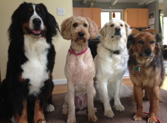 Littlefield Animal Care Pet Sitting - Stow, MA