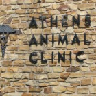 Athens Animal Clinic